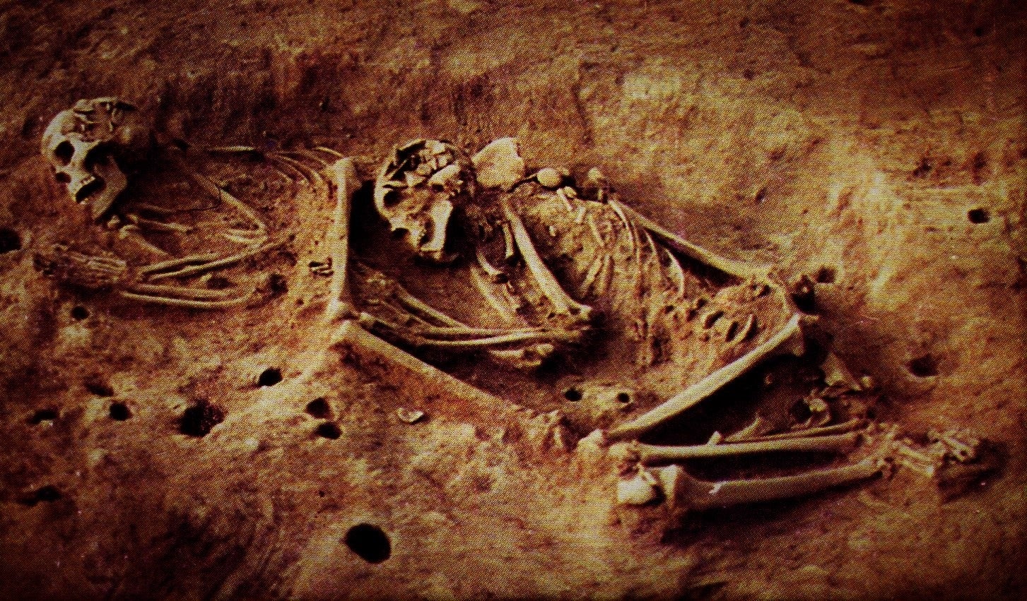 Els esquelets de dos individus caçadors-recol·lectors excavats al jaciment arqueològic de Checua (Altiplano de Bogotà). | Universitat de Tübingen