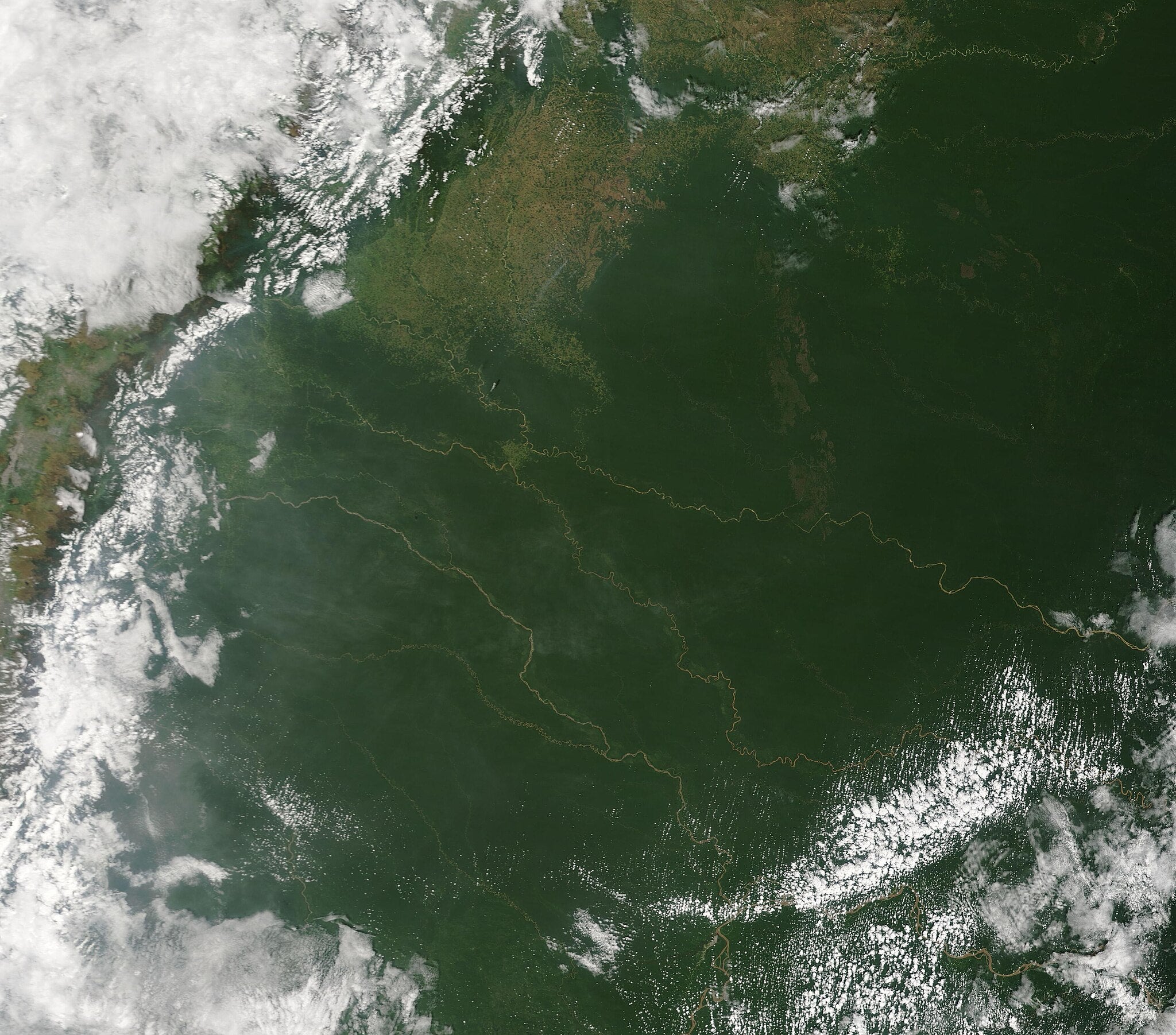 Imatge per satèl·lit de la selva amazònica | MODIS Land Rapid Response Team, NASA GSFC