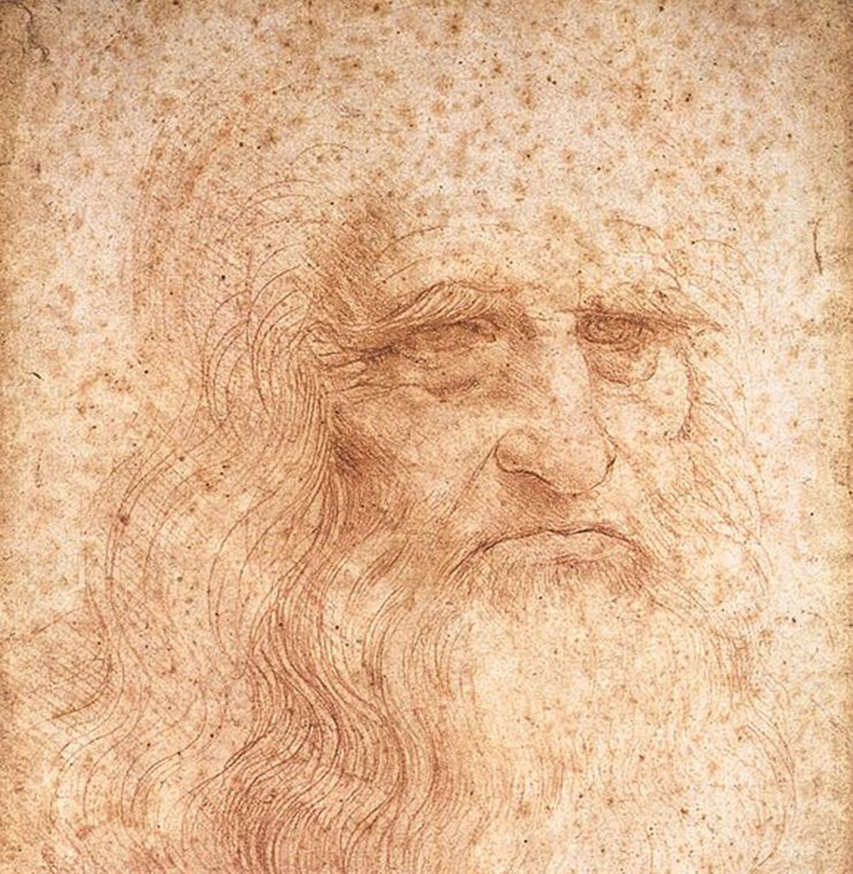 Una revolucionària investigació pot haver trobat els descendents vius de da Vinci | Wikimedia Commons