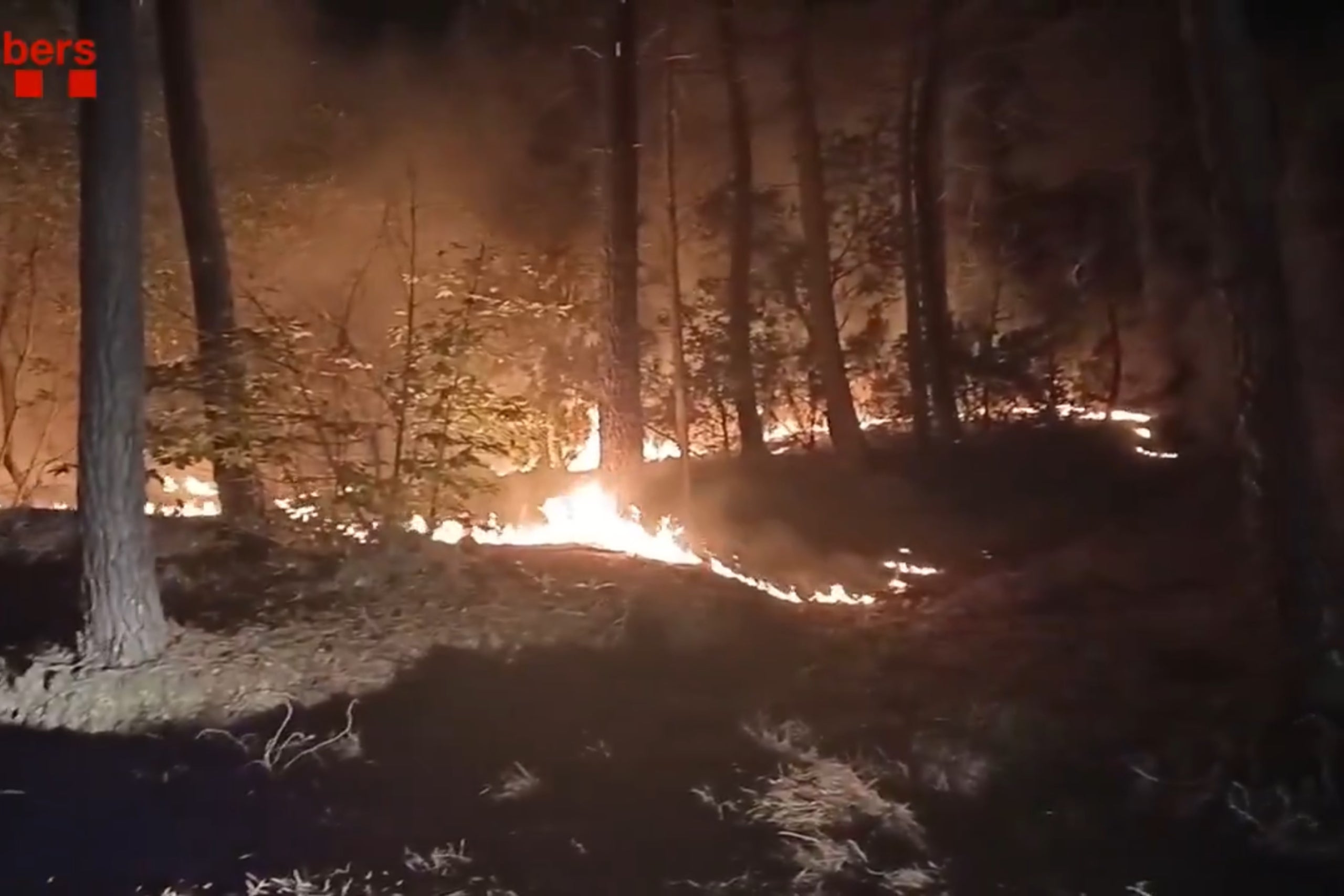 Imagen de archivo del incendio de Amer | Imagen cedida a la ACN por los Bombers