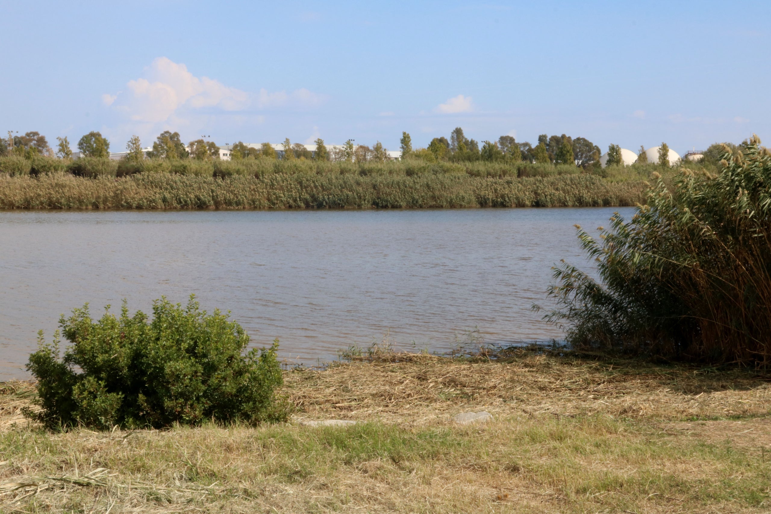 Plano general del río Llobregat en el tramo final. Imagen del 18 de octubre del 2021. (Horizontal) | Gemma Sánchez (ACN)