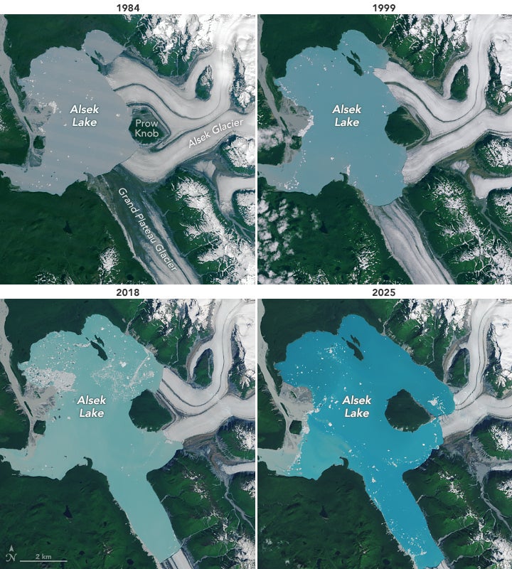 L'evolució del llac Alsek promoguda pel desglaç | NASA Earth Observatory