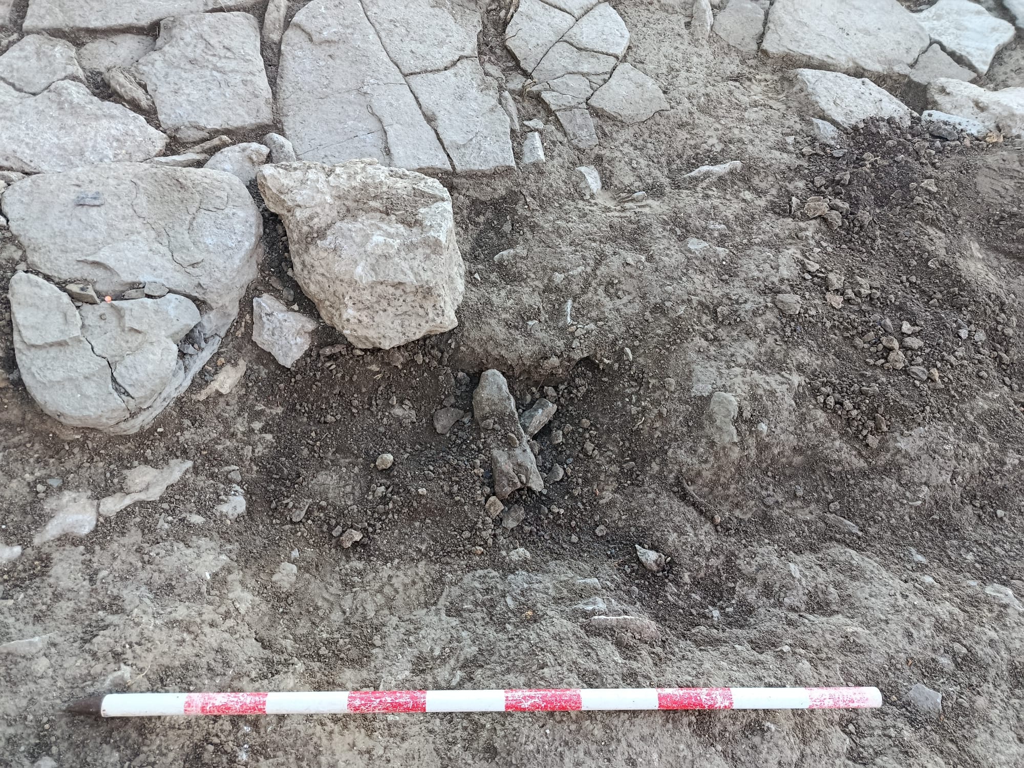 Un dels forats que van fer que persones amb detectors de metall al jaciment de Sant Gervàs, al Pallars Jussà. | Marta Lluvich (ACN)