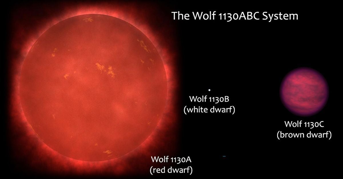 Esquema del sistema triple Wolf 1130ABC, compost per l'estrella nana vermella Wolf 1130A, el seu company nana blanca proper i compacte Wolf 1130B, i el terciari nana marró distant Wolf 1130C. Els tres components d'aquest sistema es mostren escalats a les seves mides relatives. | Adam Burgasser (Universitat de Califòrnia en Sant Diego)
