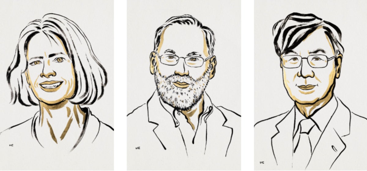 D'esquerra a dreta, Mary E. Brunkow, Frederick J. Ramsdell i Shimon Sakaguchi | Premi Nobel