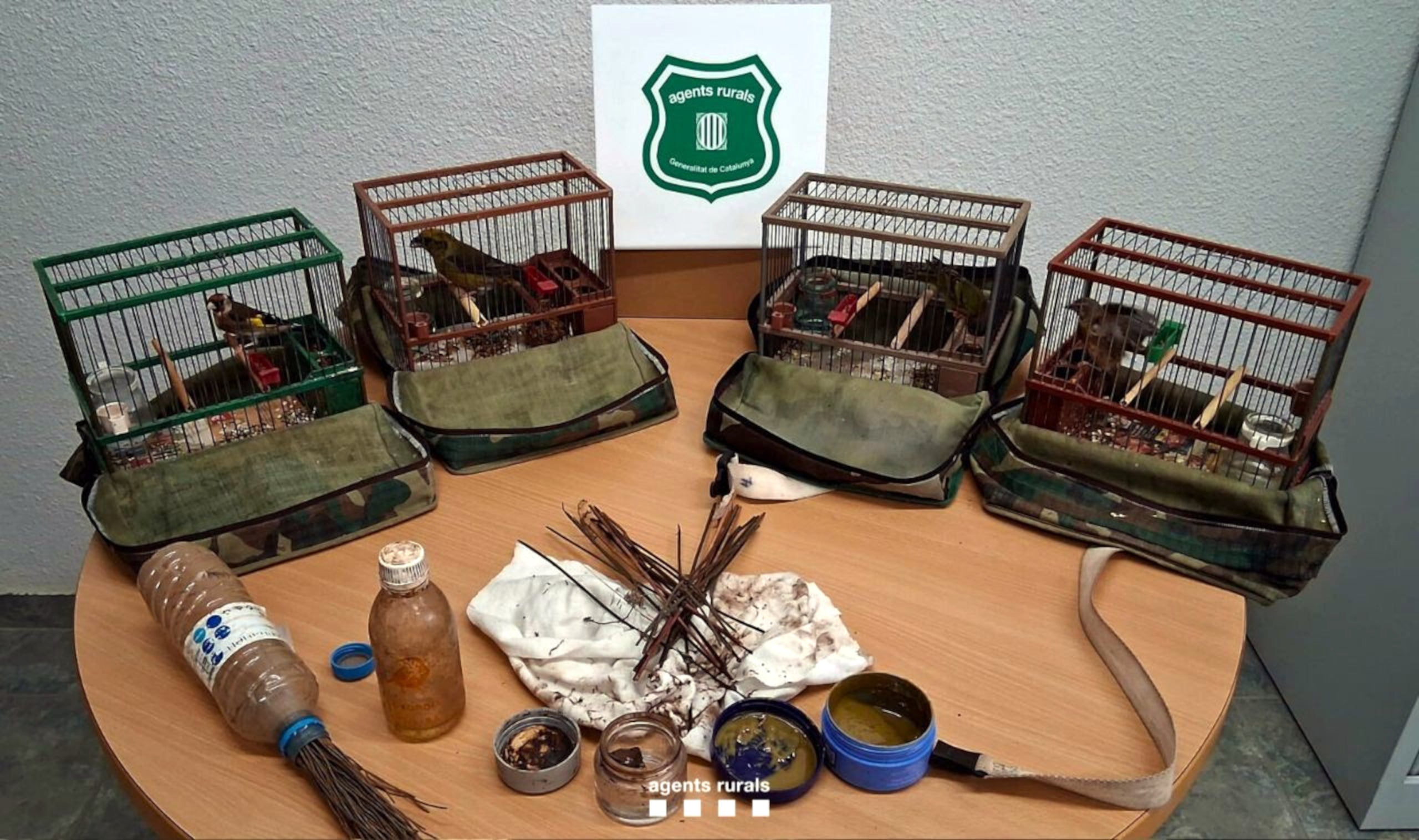 Algunas de las aves intervenidas en el Solsonès | Agentes Rurales