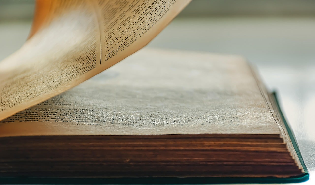 Els autors també han reconegut que en el procés d'escriptura utilitzen la IA | Pixabay