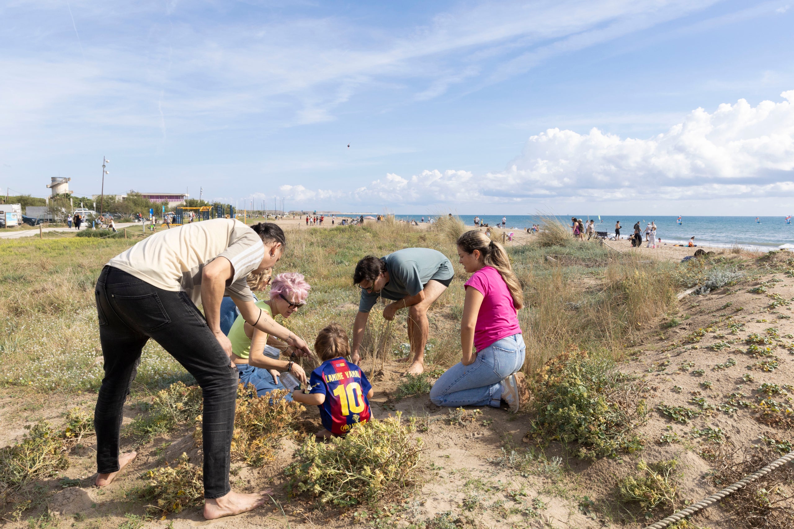 El projecte BioPlatgesMet ha registrat més de 6.000 observacions a les platges de l'AMB / AMB