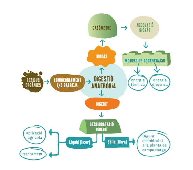 El procés de Digestió Anaeròbia | Agència de Residus de Catalunya