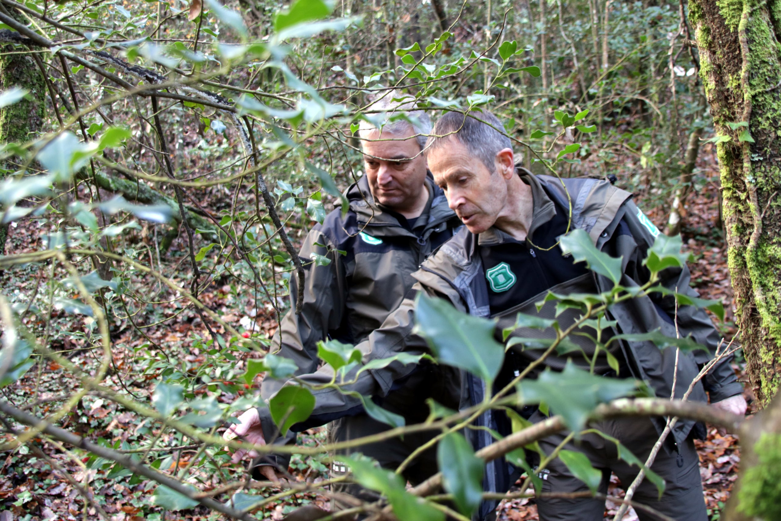 Dos agents rurals analitzant una finca a Vidreres | Berta Artigas Fontàs (ACN)