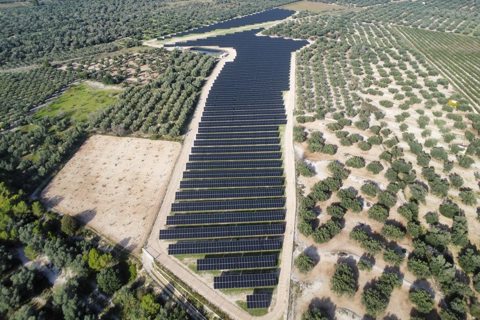 El parc solar fotovoltaic dels Valentins | L'Energètica (ACN)