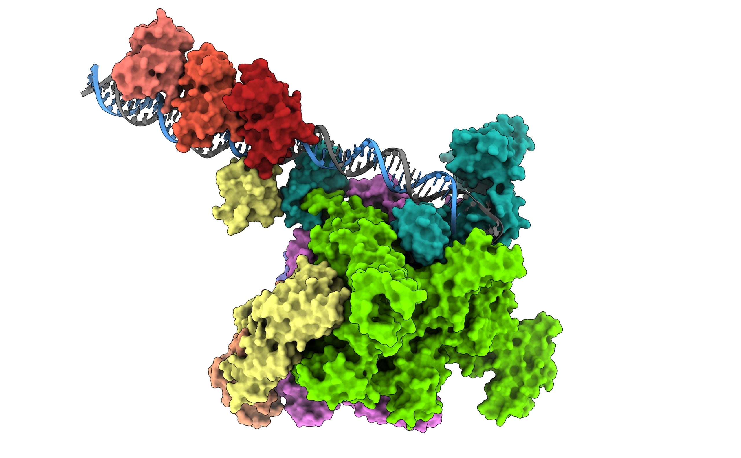 Complex de transcripció de virulència del còlera (IRB/CSIC)