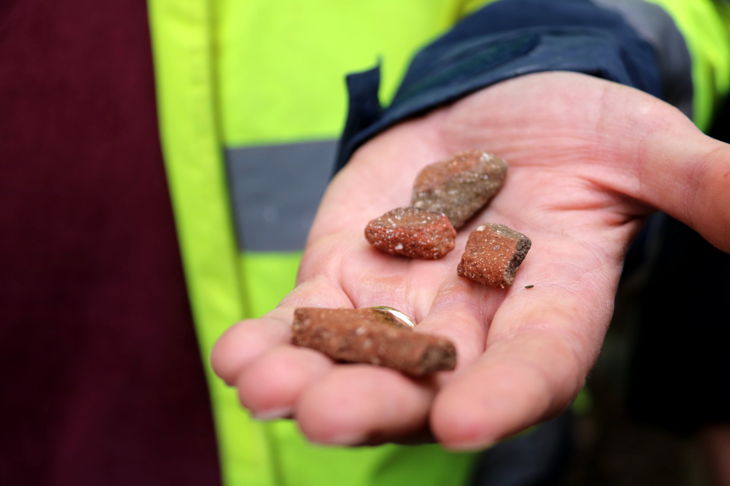 Una mà sosté fragments de restes protohistòriques trobades entorn del castell de Paüls | Anna Ferràs (ACN)