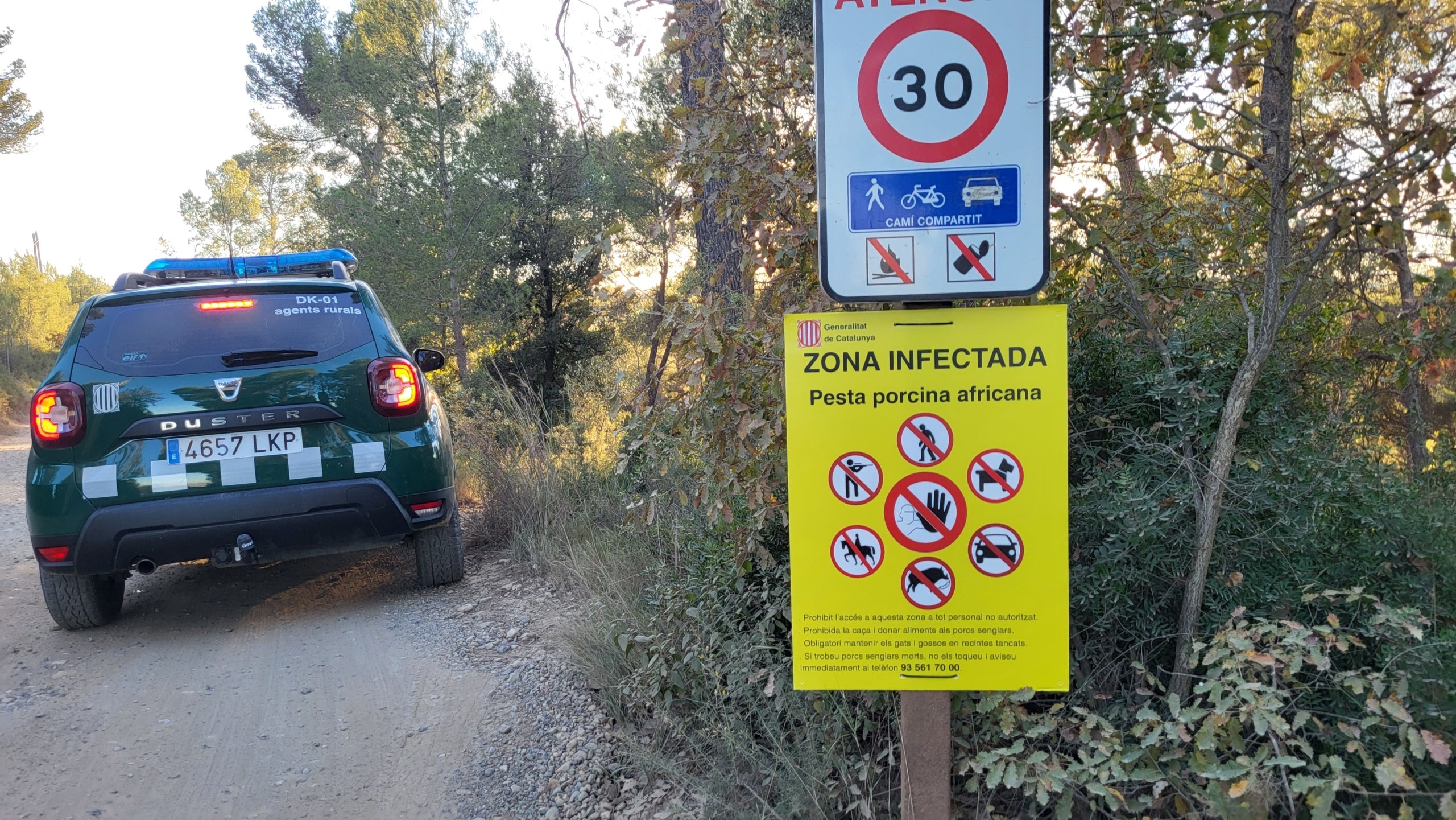 Un cotxe dels Agents Rurals rere un cartell que alerta d'una zona infectada per la Pesta Porcina Africana | Agents Rurals