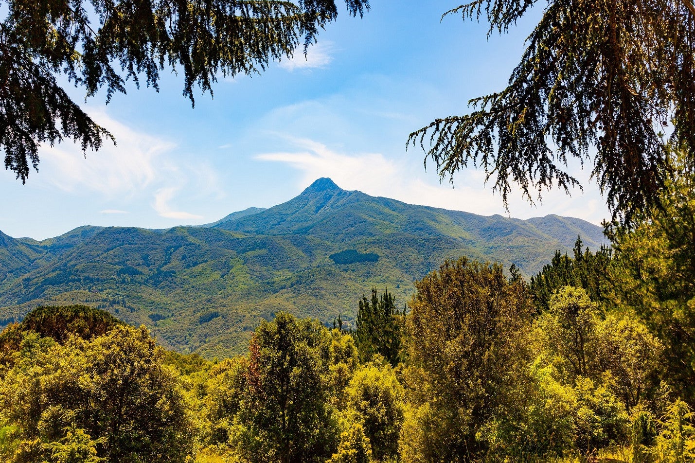 El parc natural del Montseny | ACN