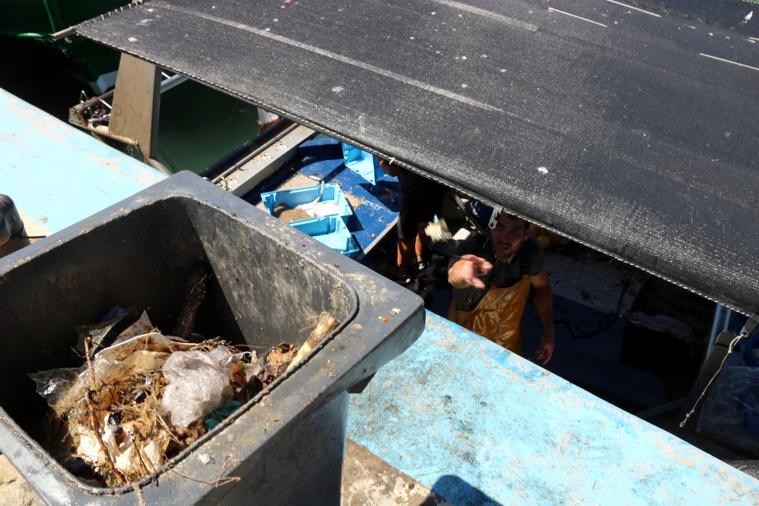 Cubell ple de brossa recollida per un vaixell de pesca al port d'Arenys | Àlex Recolons (ACN)