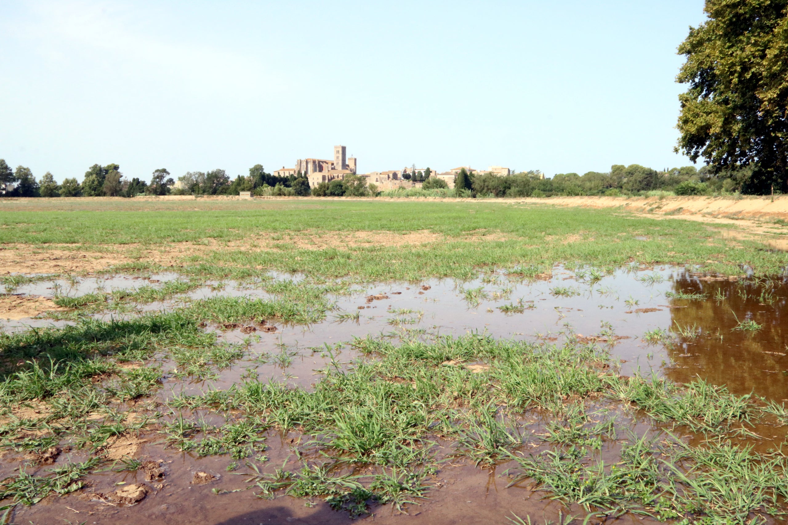 El Estany de la Vila con la Basílica de Castelló de fondo | Gemma Tubert (ACN)