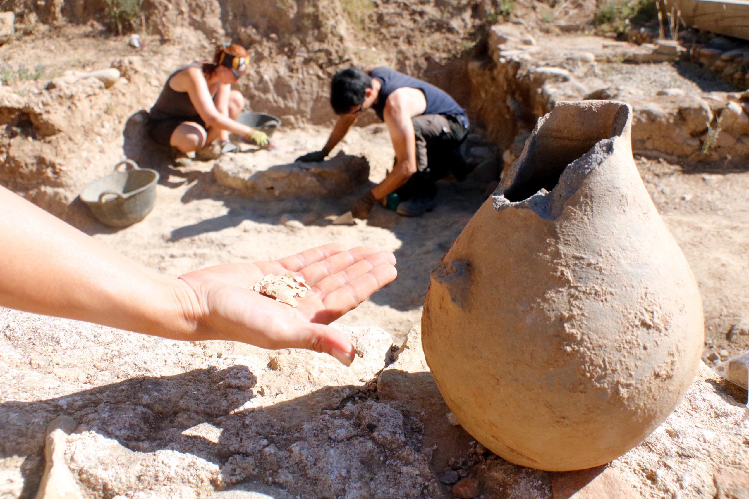 La gerra amb la clova de l'ou de fa 1.800 anys que s'ha descobert a la vil·la romana del Pla de l'Horta | Xavier Pi (ACN)
