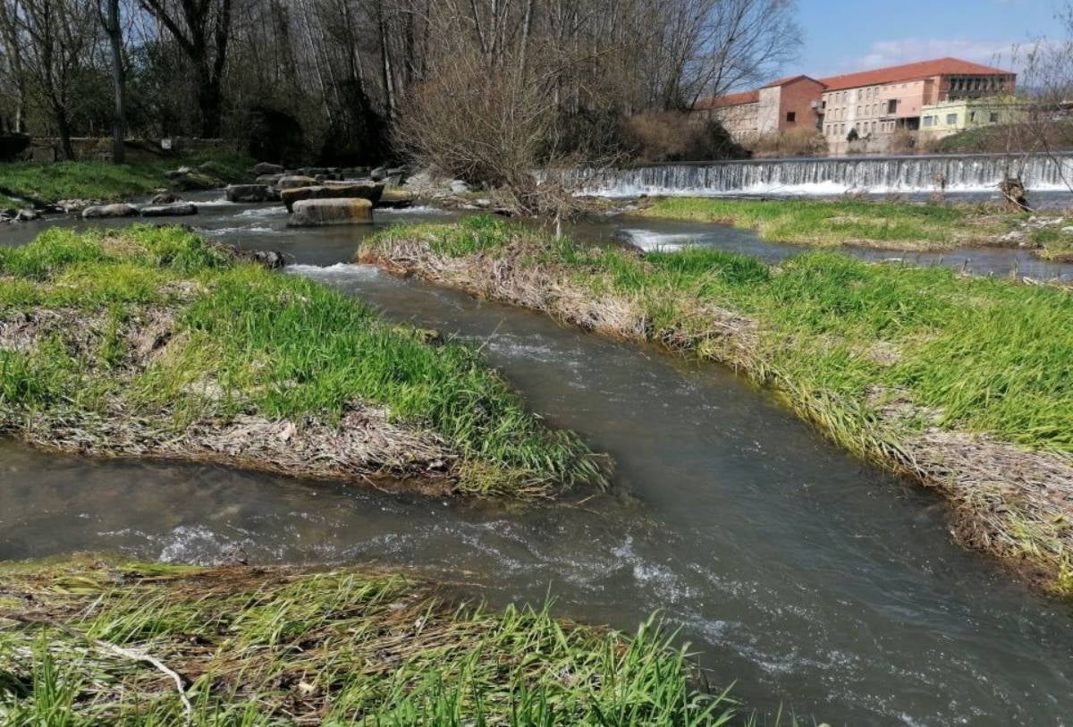 Rampa per a peixos de la resclosa de La Teula (Manlleu) | Marc Ordeix / CERM