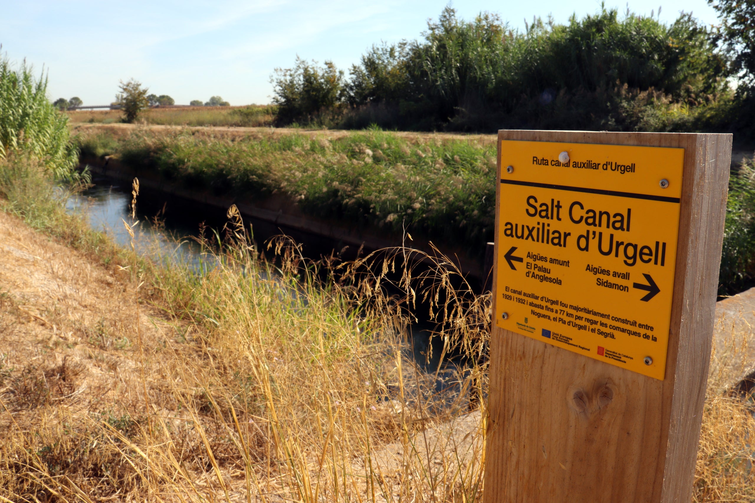 El canal auxiliar d'Urgell al seu pas per Sidamon / ACN