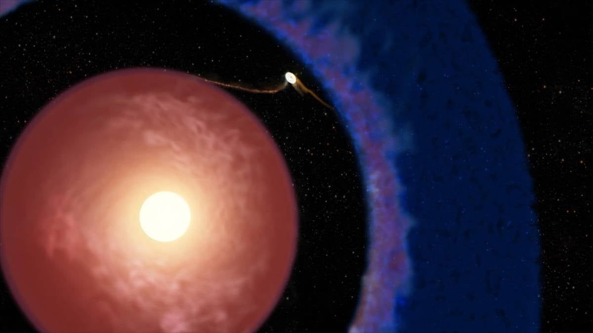 Concepte artístic que representa Elias 2-24 b, l'exoplaneta més jove detectat fins ara, que encara creix dins del disc de gas i pols que envolta la seva jove estrella. El material del disc s'està acumulant activament sobre el planeta de la massa de Júpiter, que es troba dins d'un espai prominent al disc, cosa que dóna suport a la teoria principal de la formació de planetes gegants.
Observatori WM Keck/Adam Makarenko
