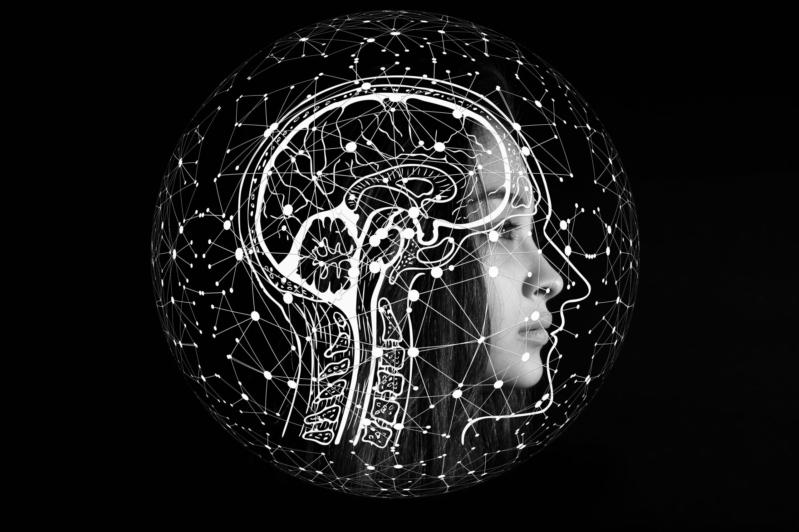 Cervell | Pixabay