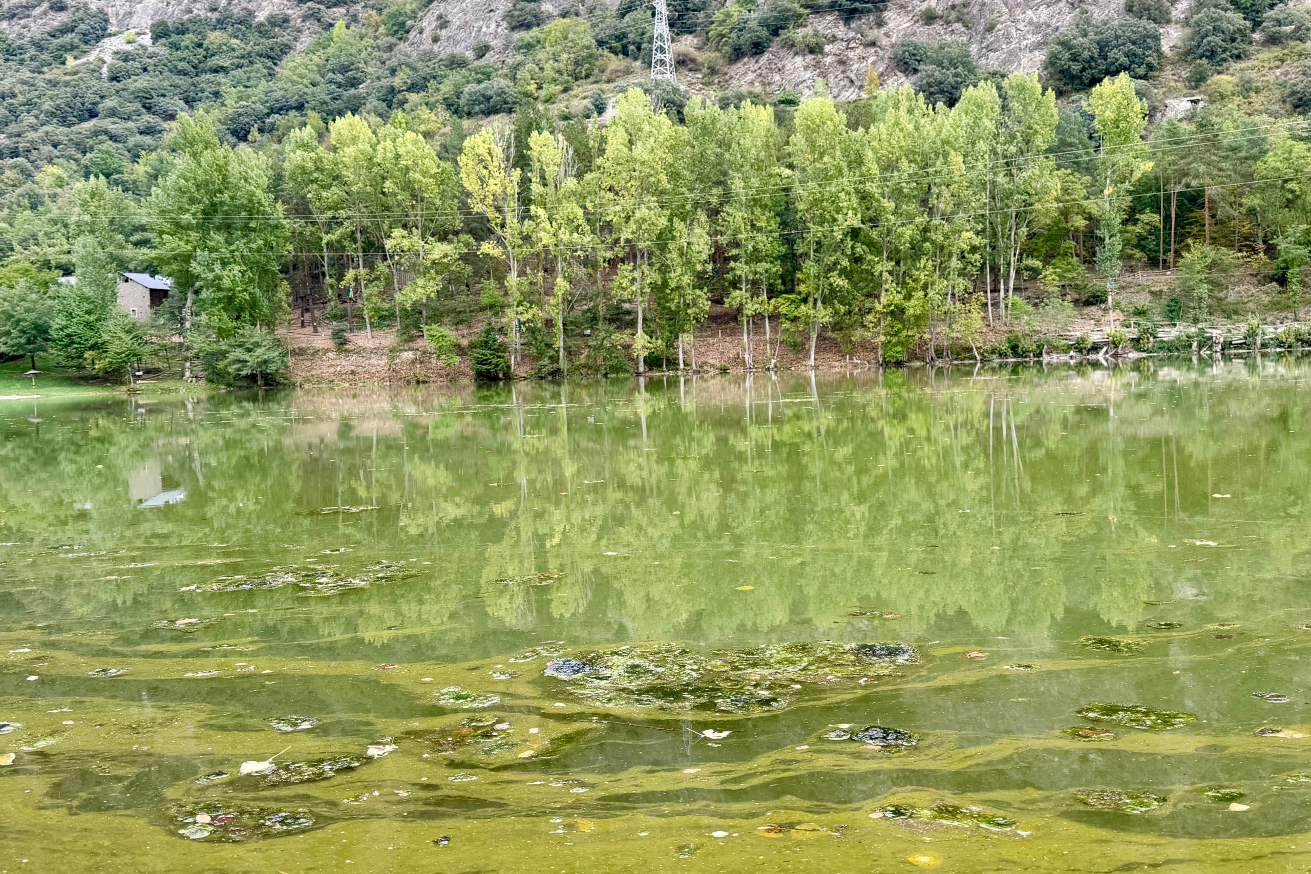 Panoràmica del pantà de la Torrassa amb l'aigua de color verd per cianobacteris | Marta Lluvich (ACN)