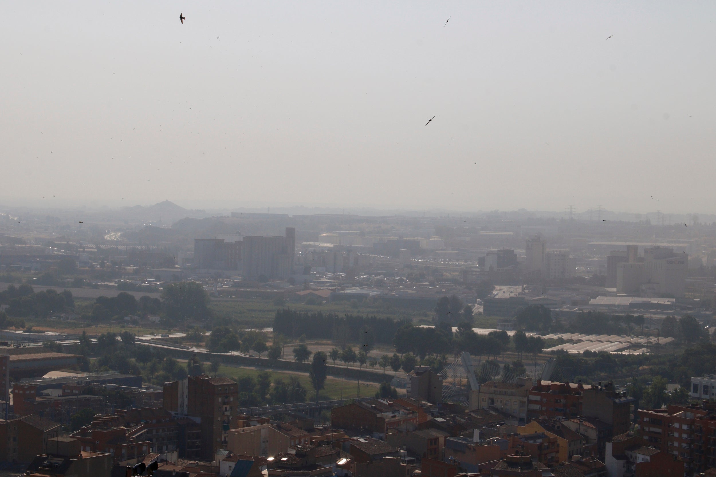Calitja a la ciutat de Lleida durant l'onada de calor, amb el polígon industrial El Segre al fons. | Roger Segura (ACN)