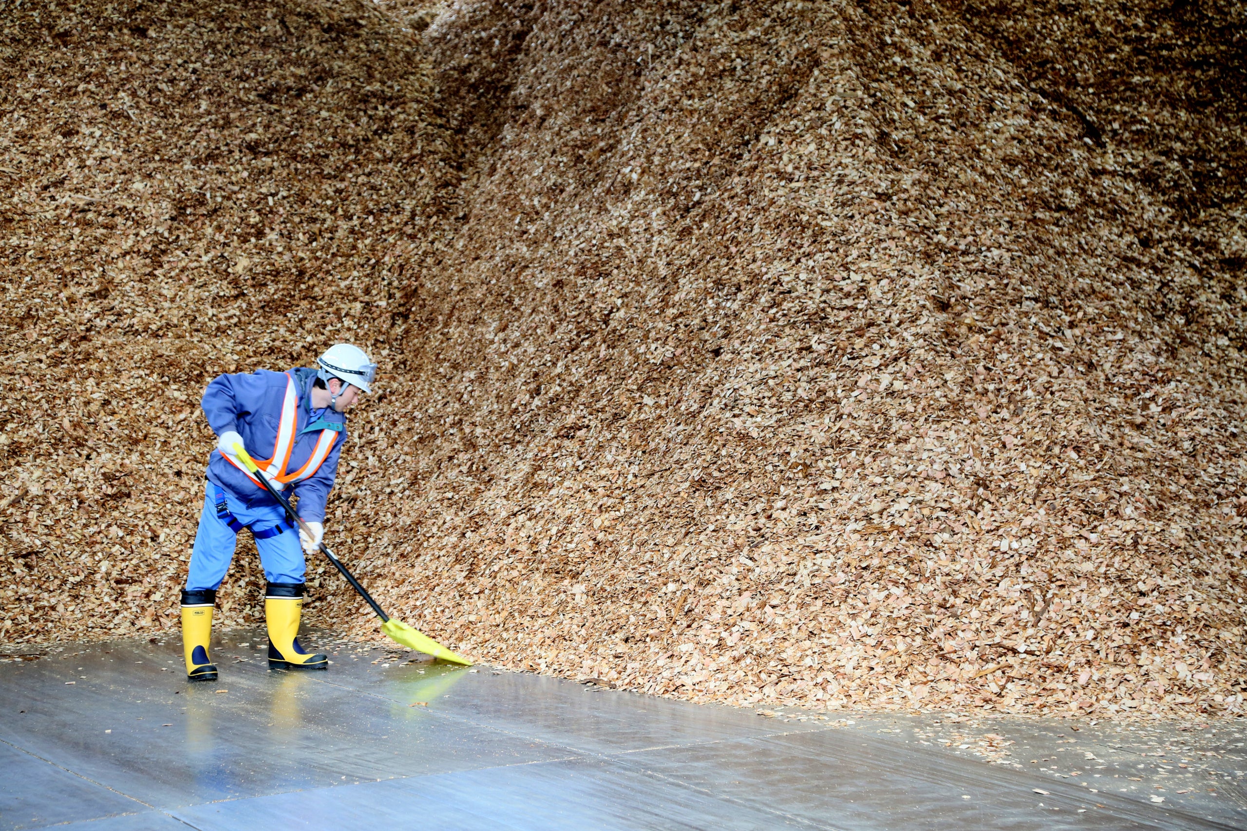 Veolia gestiona tota la cadena de subministrament de la biomassa a l'estat espanyol, des del bosc fins a les instal·lacions finals / Veolia